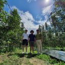 새천년농원 이미지