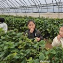 전대초교 이미지