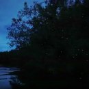 반딧불 PC 이미지