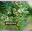 헬렌영어학원 - 오산시 운암로 121 | 헬렌영어학원
