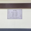 경주버섯 이미지