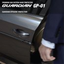 아우디 더뉴 A6 전용 문콕방지 가디언 도어가드 GP-01 시공 후기