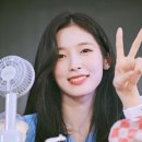 아린이 Daum카페