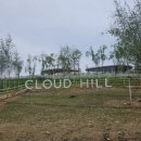 클라우드힐 | [The 경기 가평] 가평양떼목장 클라우드힐 후기 🌿