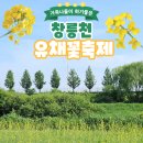SP-5A13 | 고양시 5월 가족 나들이하기 좋은 창릉천 유채꽃축제