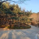 수복천 입구 이미지