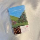 우리가사랑하는세탁소 이미지