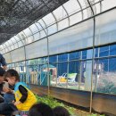 원이네농장 이미지