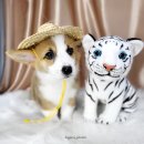 도꾸살롱 이미지