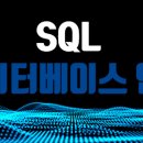 SQL 데이터베이스 언어 이미지