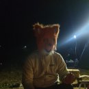 목도강수욕장 이미지