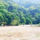 석수캠핑장 이미지