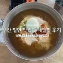 (부산 2박3일 여행 ⑦) 부산 맛집 봉래 밀면, 모모스커피 영도점 후기