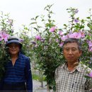 이동철농장 이미지