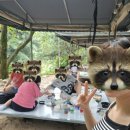 동궁쉼터 | 괴산 청주근교계곡 동궁쉼터 애견동반가능 후기