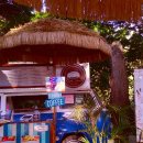 11545-03-32-27 | 텍스트미 카메라 text me. 감성 실용성 다 잡은 디지털카메라 후기