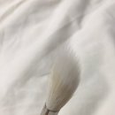 J6056 네이버블로그
