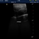 24시프라임동물병원 이미지