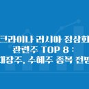 우크라이나 러시아 정상회담 관련주 TOP 8 : 대장주, 수혜주 종목 전망