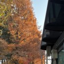 경기도 수원시 팔달구 권광로196번길 37 (인계동) | 행복투성이 12월,,♡(인계동회식맛집, 수원케이크맛집 추천)