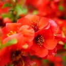 부근1리 경로당 이미지