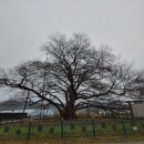 대구면사무소 이미지