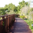 낙동강하구아미산전망대 이미지