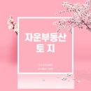 모리아공인중개사사무소 이미지