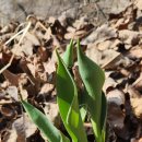 청풍농장 이미지