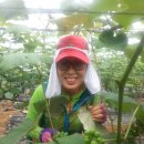 반월농협 이미지