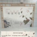 [대구간송미술관] &lt;화조미감&gt;, 조선시대 꽃과 새들, 그리고 미디어아트까지!