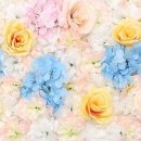 뮤플라워 이미지