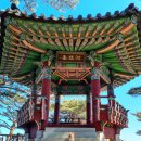 정자중앙길 이미지