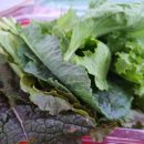 조은부부한의원 이미지