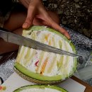 주식회사 스위트블러썸 티스토리