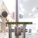 도그살롱 슈 이미지