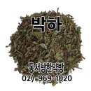 영생한약방 - 구미시 문장로 202 | 영생한약방