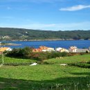 피스테라 이미지