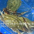 만덕시장 | 광주 매월동 수산물시장 만덕수산 생물 활 꽃게 구매 후기 가격 찌는법