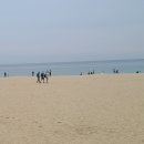 2025년 추석연휴 부산해운대 가족여행 (2025.10.2~4) 이미지