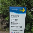 연꽃 | (서귀포시 남원읍) 자연과 꽃과 산책이 있는 휴애리자연생활공원 방문후기