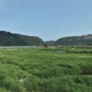 오수천2 Daum카페