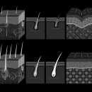 주식회사 초이스 이미지