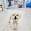 어서왈왈 이미지