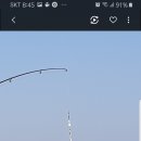 나루터낚시