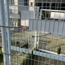 퍼피랜드애견카페 | [화성]동탄 대형 애견카페 &#39;아스타나퍼피&#39; 솔직후기(애견운동장/키즈놀이방)