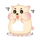 샤오짠