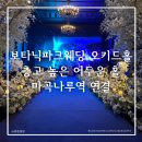 오키드플라워 | 보타닉파크웨딩 오키드홀 후기·내부 장식 | 마곡나루역 연결·견적 공유