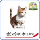 페트로 동물병원 이미지