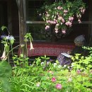 영화꽃화원 이미지